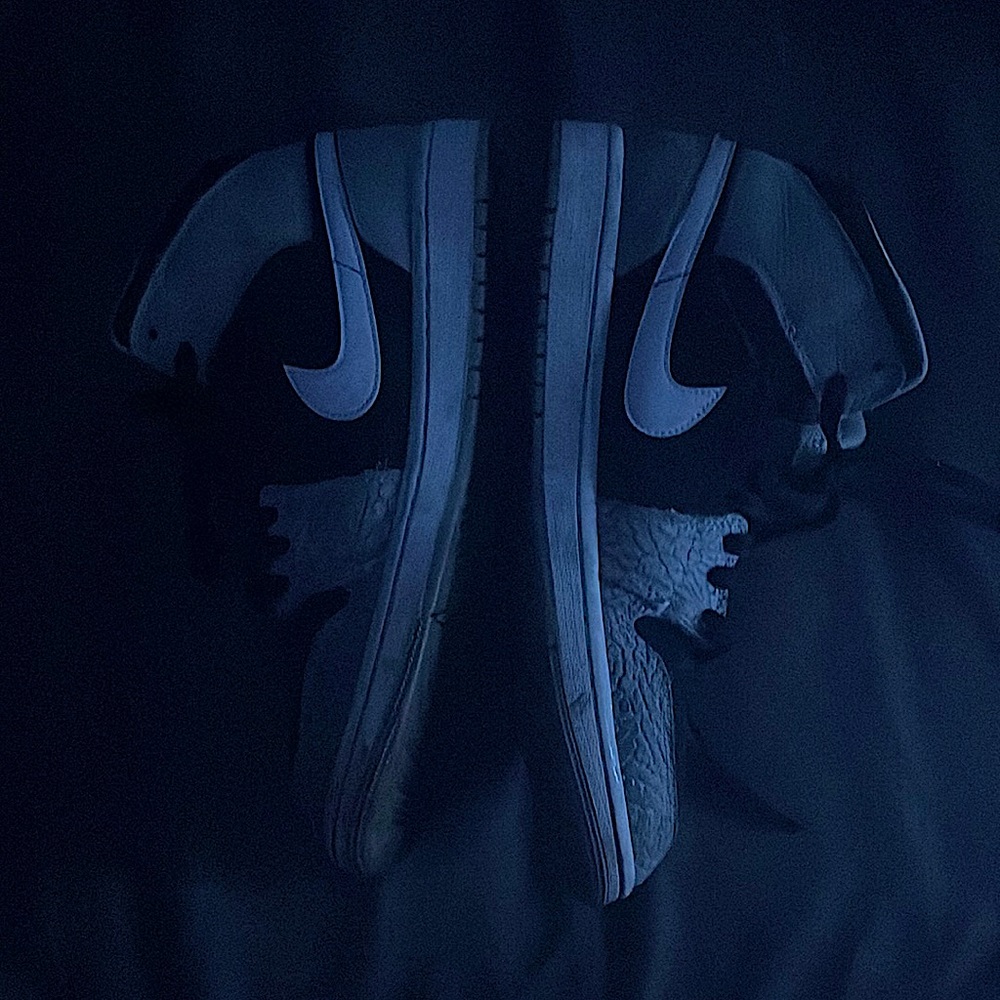 Jordan 1 elephant skin size 10